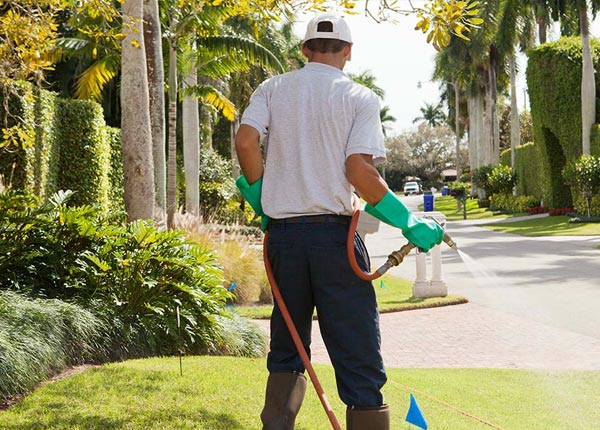 About Nicktown PA Pest Control Pros
